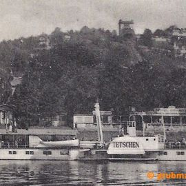 Historische Aufnahme vor 1939 - Raddampfer 'Tetschen' (heute 'Krippen') vor Dresden-Weißer Hirsch