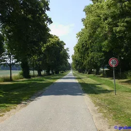 Straße 'Am Denkmal' (Denkmalallee) vom Kleinen Denkmal aus