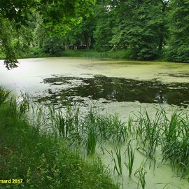 Schlossparkteich