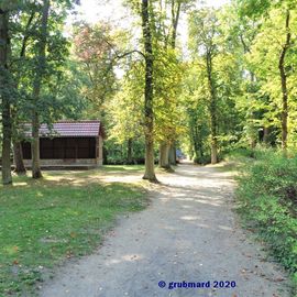 Hauptallee zum Tierpark