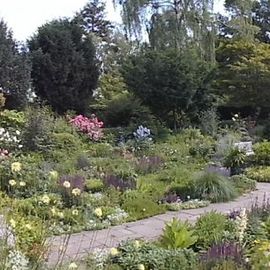 Panoramabild des Gartens