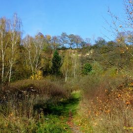 Naturschutzgebiet "Sperenberger Gipsbrüche/Gipshut"