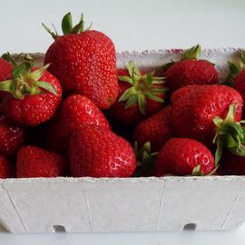 Erdbeeren - Pfund 4,90 € (6.2021)