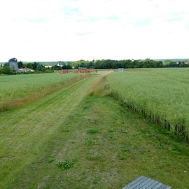 Blick vom Pritzwalker Tor über die Stadtwüstung Freyenstein