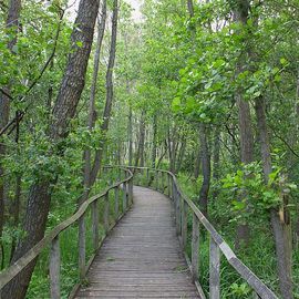 Naturlehrpfad am Teufelssee