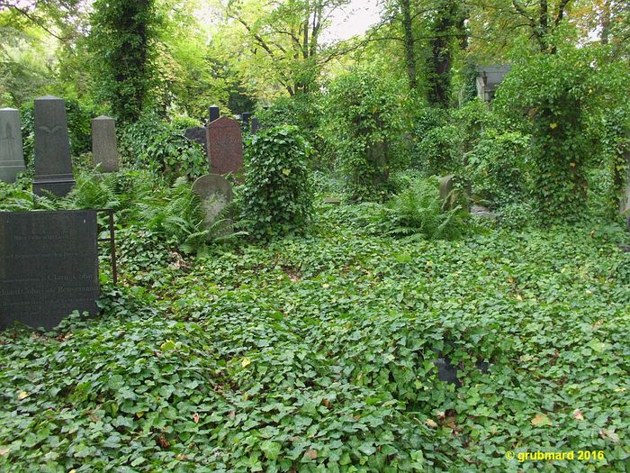 Nutzerbilder Jüdische Gemeinde zu Berlin