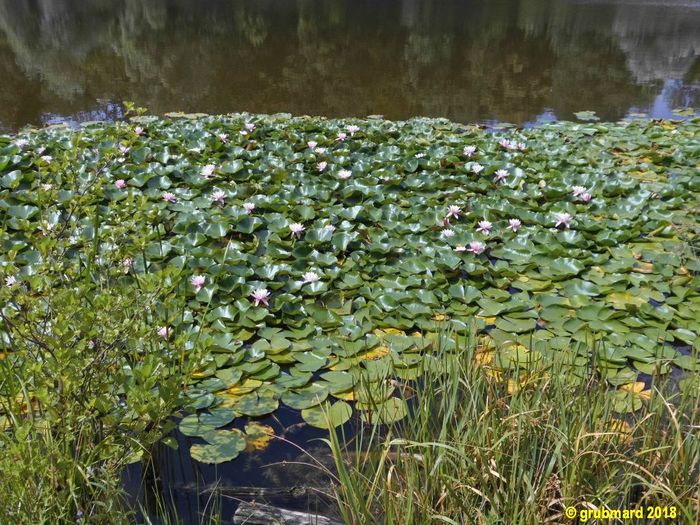 Nutzerbilder Lehrkabinett Teufelssee