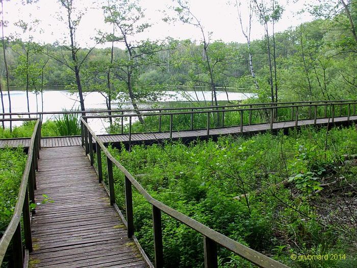 Nutzerbilder Lehrkabinett Teufelssee