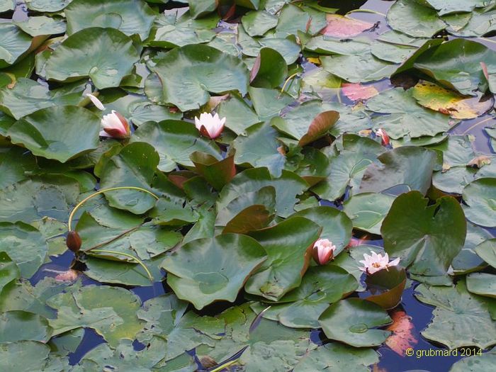 Nutzerbilder Lehrkabinett Teufelssee