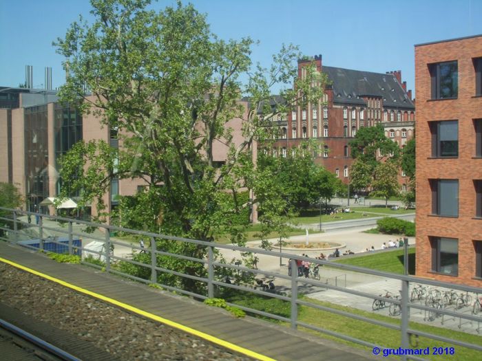 Blick auf Charité-Gelände von der S-Bahn aus.