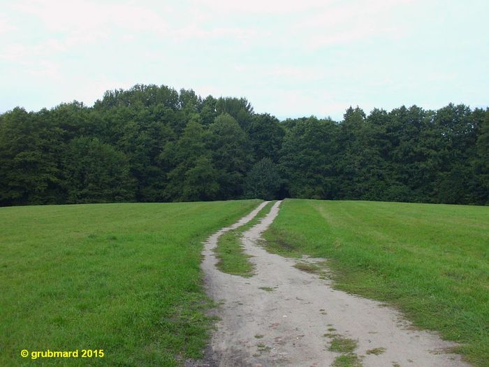 Ehemaliger Landschaftspark, hinter den Bäumen befindet sich die Pyramide