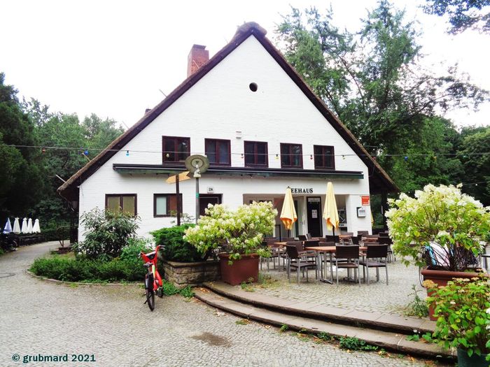 Nutzerbilder Teehaus im Englischen Garten Internationale Küche