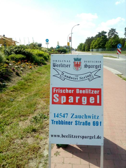Spargelhof Syring in Zauchwitz