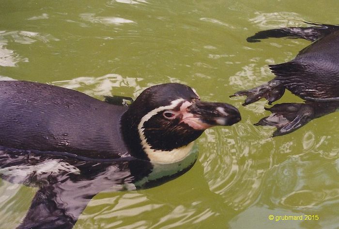 Nutzerbilder Zoo Eberswalde