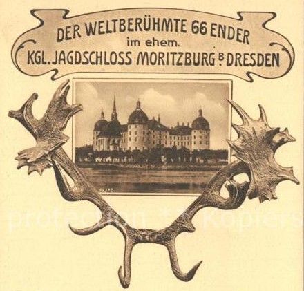 66-Ender-Geweih - Schloss Moritzburg, von einer alten Postkarte (vor 1940)