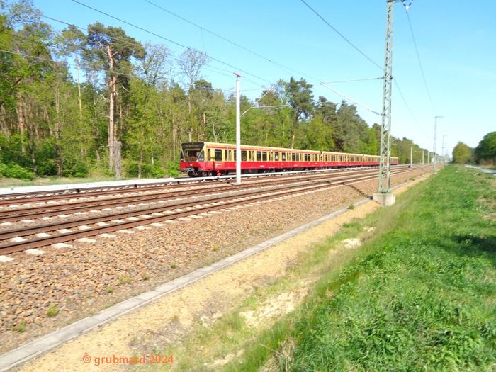 S-Bahnzug der Linie S3 zwischen Bln.-Rahnsdorf und Bln.-Friedrichshagen Richtung Westen