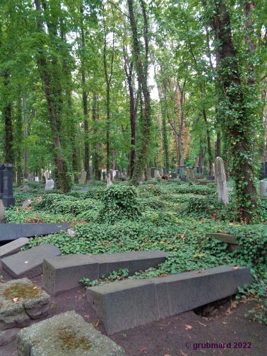 Auf dem Jüdischen Friedhof Schönhauser Allee (08.2022)