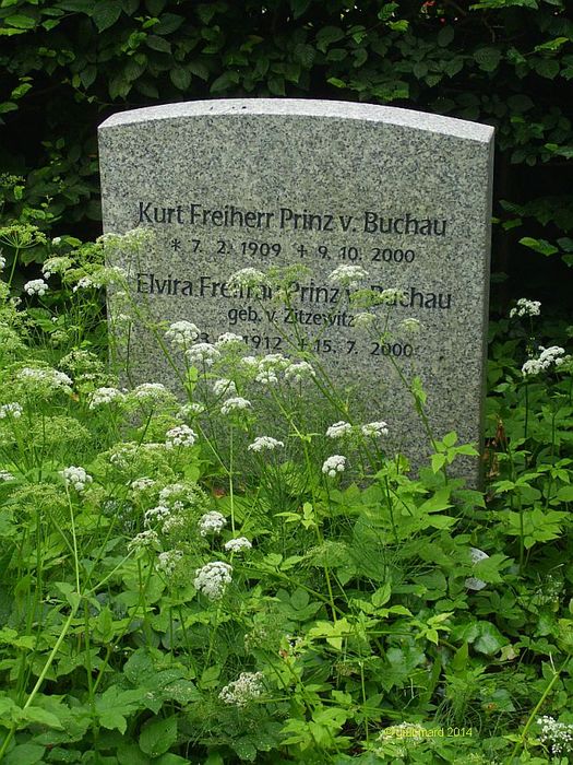 Friedhof Berlin-Zehlendorf: Auch ein großer Name schützt nicht vor einem verwilderten Grab - Freiherr Prinz v. Buchau
