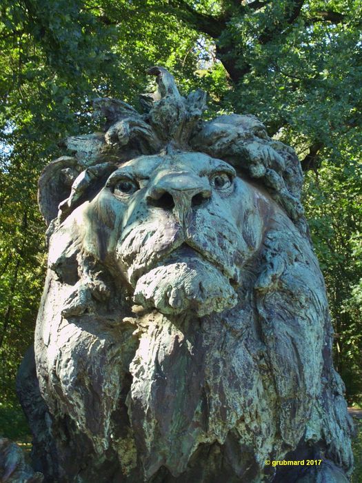 Kopf des lauernden Löwen