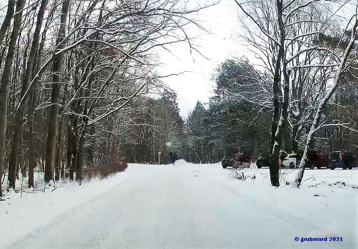 Straße zum Müggelturm auf der Südseite der Müggelberge am 10.2.2021