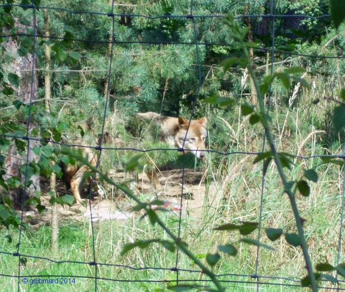 Nutzerbilder Wildpark Johannismühle