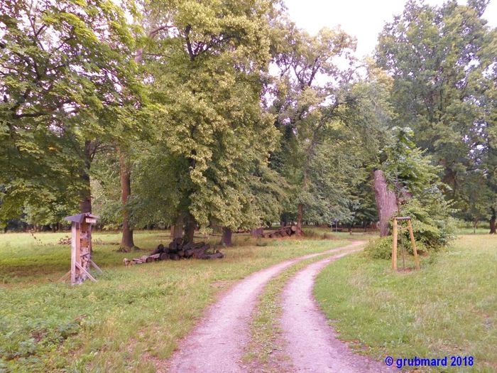 Nutzerbilder Schloß Trebnitz Bildungs- u. Begegnungszentrum e.V.