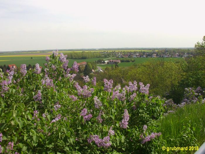 Blick vom Kapellenberg