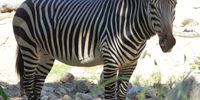 Nutzerfoto 2 Tierpark Berlin-