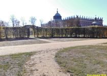 Bild zu Kaiserlicher Privatgarten im Park Sanssouci