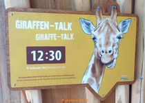 Bild zu Giraffenanlage und Giraffenhaus im Tierpark Berlin
