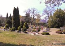 Bild zu Friedhof Reitwein