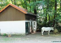 Bild zu Tierpark Luckenwalde