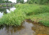 Bild zu Spreebrücke und Wasserwanderrastplatz Mönchwinkel