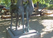 Bild zu Junge Pferde - Bronzeplastik von Heinrich Drake im Tierpark Berlin
