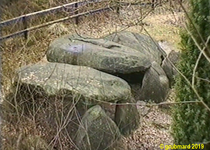 Bild zu Kulturdenkmal »Sieben Steinhäuser« auf dem Truppenübungsplatz Bergen