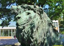 Bild zu Bronze-Skulpturen »Löwen« im Tierpark Berlin