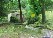 Bild zu Naturdenkmal »Kobbelner Stein«