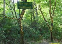 Bild zu Waldkapelle "Zum anklopfenden Christus"