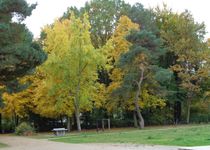 Bild zu Volkspark Köpenick