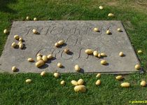 Bild zu Grabanlage für König Friedrich II. v. Preußen und seine Lieblingshunde im Park Sanssouci