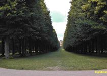 Bild zu Belvedere auf dem Klausberg im Park Sanssouci