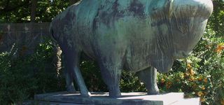 Bild zu Bronze-Skulptur »Bison« von Dietrich Rohde