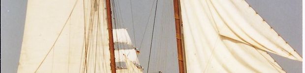 Bild zu Traditional Sailing Charter BV (TSC)