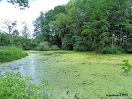 Bild zu Schlosspark Diedersdorf