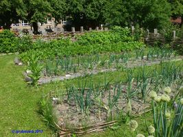 Bild zu Archäologischer Park Freyenstein