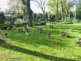 Bild zu Friedhof Altranft