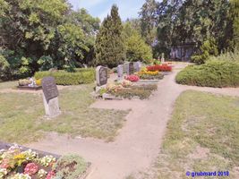 Bild zu Friedhof Kunersdorf
