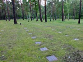 Bild zu Kriegsgräberstätte Waldfriedhof Halbe