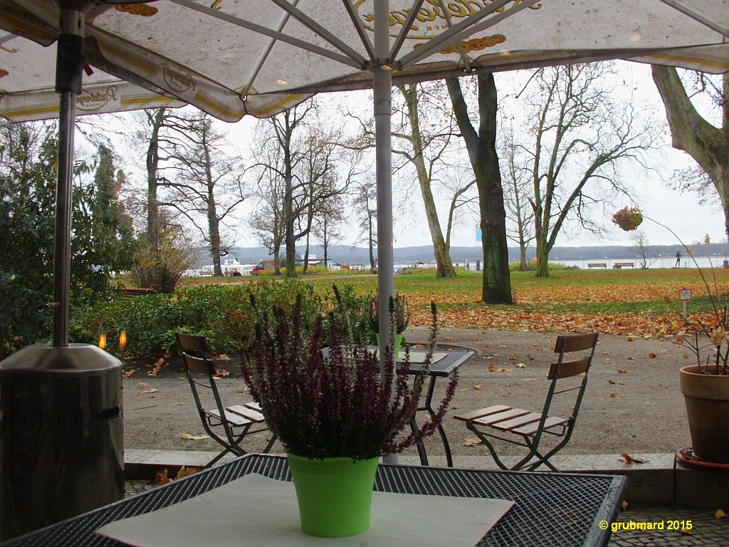 Blick vom Restaurant durch den herbstlichen Müggelpark und zum Müggelsee