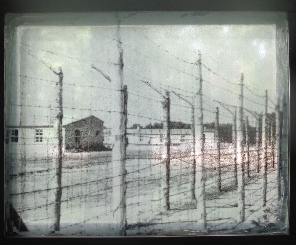 KZ Wöbbelin Mai 1945 - Aufnahme der US-Army in einem der Tageslichtdiabetrachter